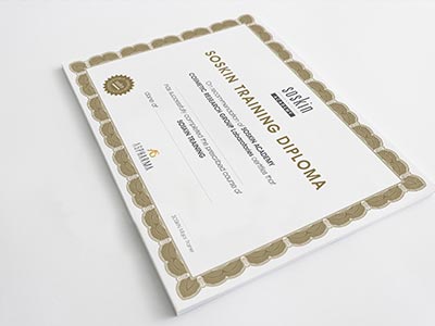 Soskin Paris Certificate